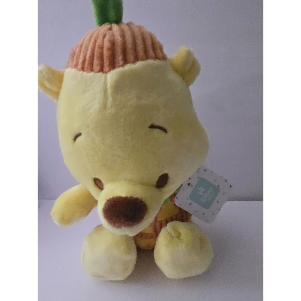 NWT ALDI  DISNEY Winnie the Pooh Pumpkin Halloween Costume Plush
